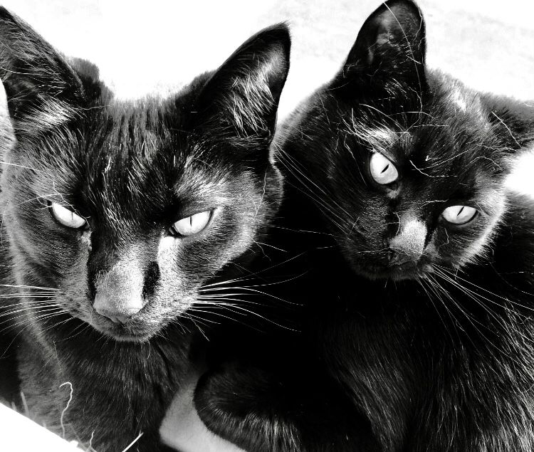 Tank & Nonie