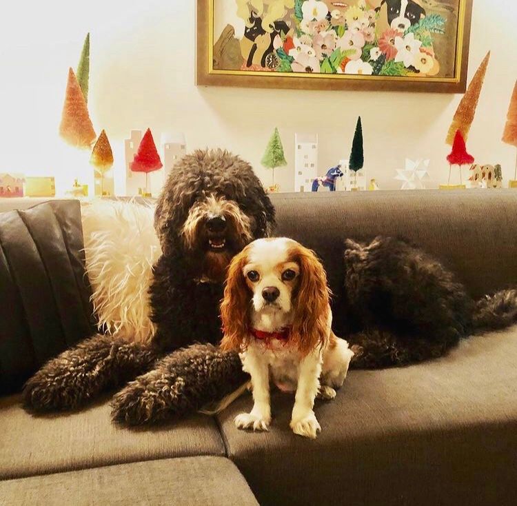 Moe, Bailey