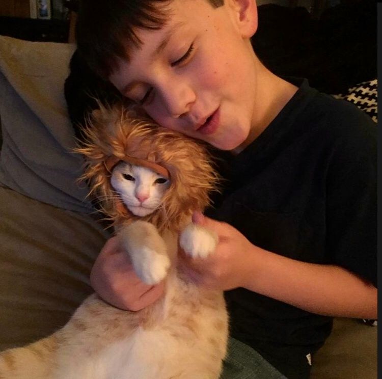Lion Nacho and little Kiereth